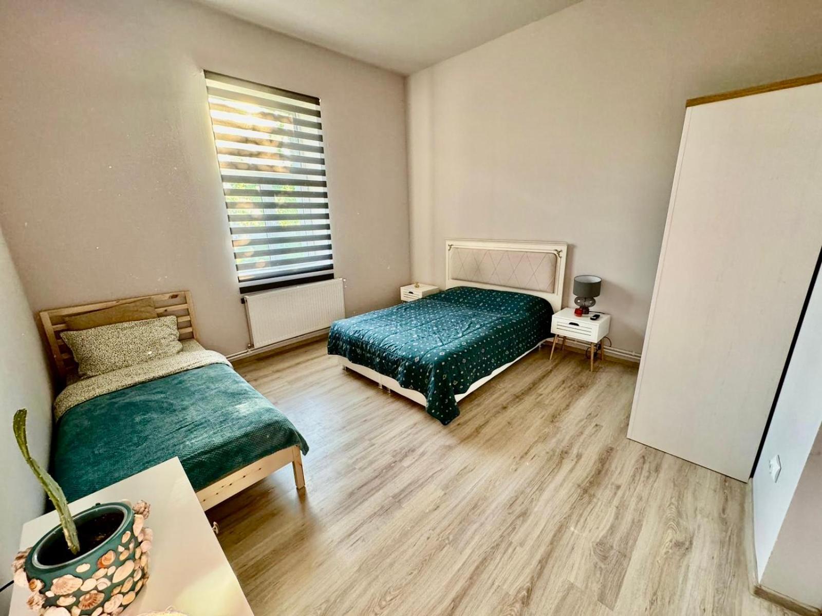 Serbian House Timişoara Extérieur photo