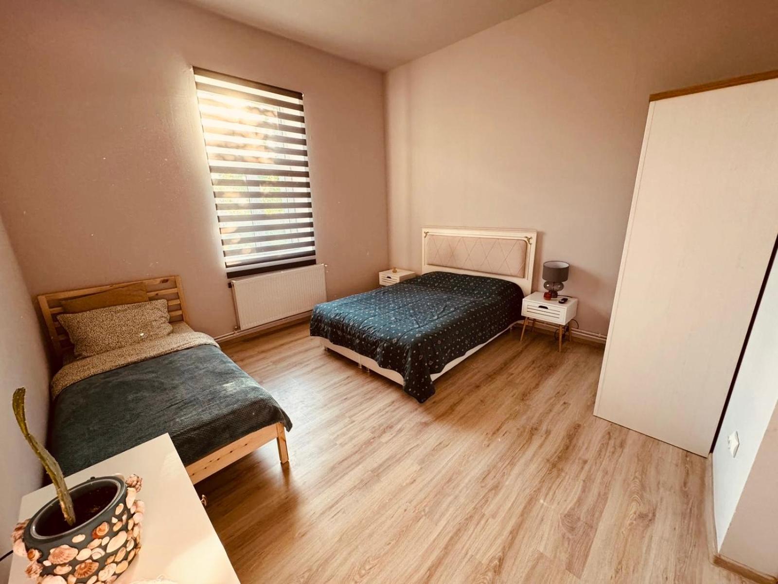 Serbian House Timişoara Extérieur photo